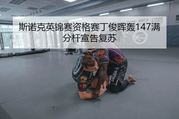 si-nuo-ke-ying-jin-sai-zi-ge-sai-ding-jun-hui-hong-man-fen-gan-xuan-gao-fu-su-2-182.jpg